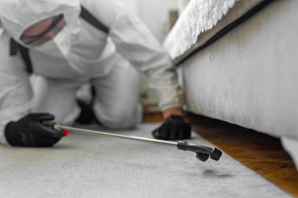 Professional Termite Control technician working in Hiram, GA