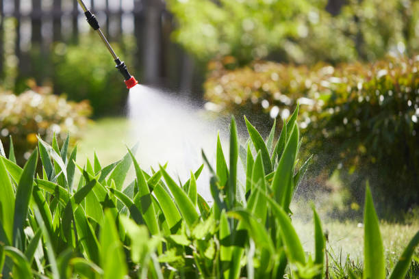 24/7 Emergency Termite Control experts in Hiram, GA